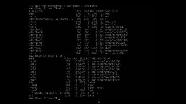 Adding and discovering drives in Ubuntu Server смотреть онлайн
