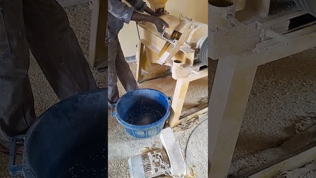Maize milling process @React @BeastReacts @realmadrid смотреть онлайн