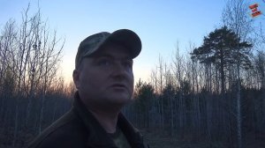 ОХОТА НА ВАЛЬДШНЕПА С МАНКОМ