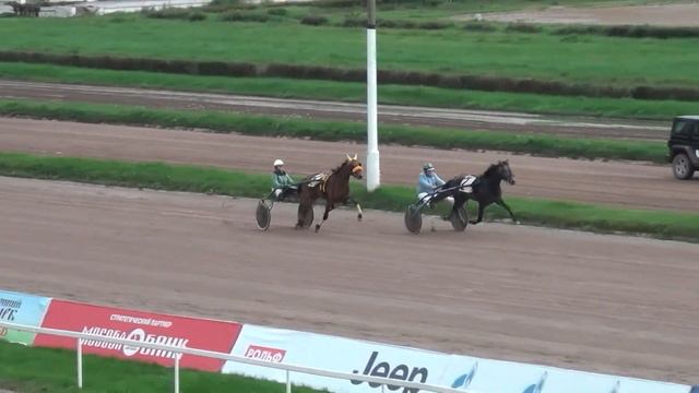 Московский ипподром. 2013 г. Орловцы двух лет смотреть онлайн