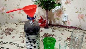Как приготовить сливовый ликёр в домашних условиях.