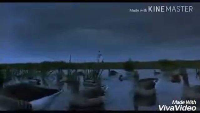 Дидюля. Путь домой смотреть онлайн