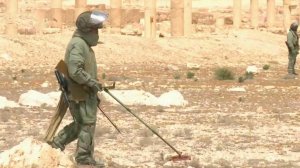 В Подмосковье чествовали вернувшихся из Сирии саперов