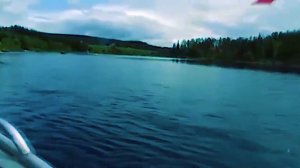 Интересные снасти для рыбалки