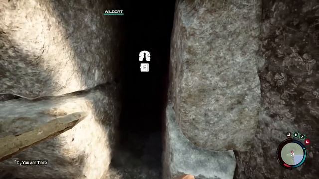 SONS OF THE FOREST Смешные моменты (перевод) ? БОЛЬШИЕ ГОЛОВЫ, МАЛЕНЬКИЙ МОЗГ (Vanoss) смотреть онлайн