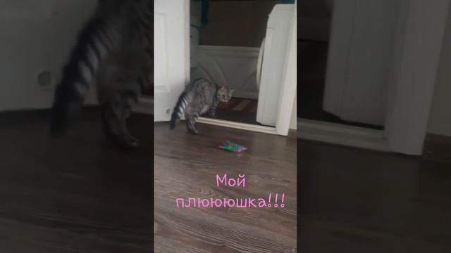 мооой плюююшка!!!