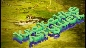Кваканье лягушек Croaking frogs