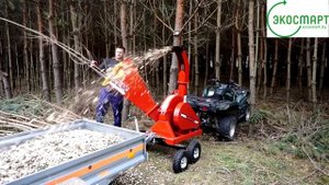 RTS-630 Измельчитель веток бензиновый