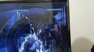 Владимир Намкод разбил телевизор