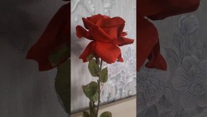 Сериал " Дикая Роза",книги по которым был написан.