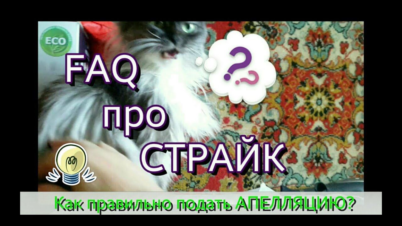 FAQ про страйк. Как правильно подать апелляцию если ваше видео удалили. смотреть онлайн