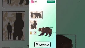 Интересные факты о Медведе для детей