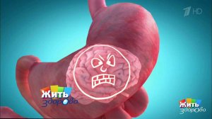 Как желудок управляет нашей жизнью. Жить здорово! Фрагмент выпуска от 14.12.2016