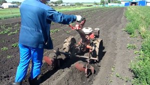 Обзор  окучивания картофеля. Работаю с мотоблоком Агро.