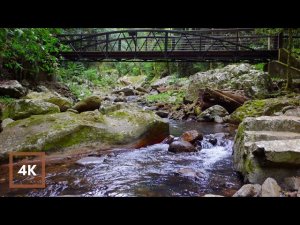 Спокойные звуки РЕКИ И ТЕМНЫЙ ЭКРАН через 1 час | Звуки воды для расслабления, сна, учебы