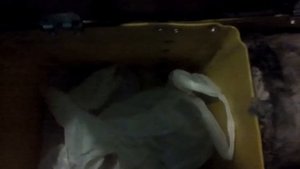 ящик для зимней рыбалки из канистры своими руками