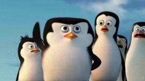 *В Антарктиде льдины* - Вок.квартет *Аккорд*