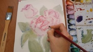 Рисую цветы розовые розы акварелью. Акварель для начинающих.
