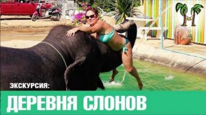 Экскурсия на Пхукете. Деревня слонов | Elephant Camp