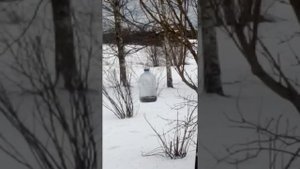 Кормушка для синиц без сорок, голубей,. воробьев..