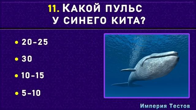 ВЫ ГЕНИЙ? У вас Невероятный Ум, если Сумеете Ответить Верно на 8 из 20 вопросов Теста на Эрудицию