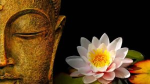 Karunesh   Secrets of Life