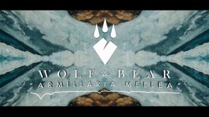 Wolf & Bear - Armillaria Mellea