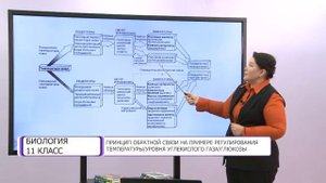 Биология. 11 класс. Принцип обратной связи на примере регулирования температуры /20.11.2020/