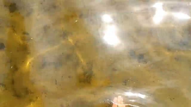 Москва, полуостров Щука, июнь 2015 смотреть онлайн