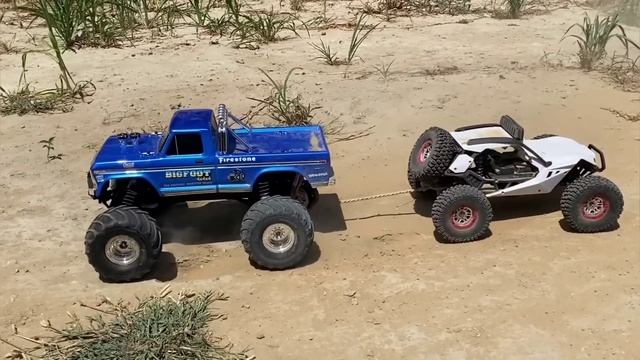 Traxxas Bigfoot vs Wltoys 12429 | Remote Control Car | Wltoys RC Cars
