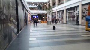 Москва ул я Кожуховская д 7 ТЦ Мозайка доп видео вход 13 00