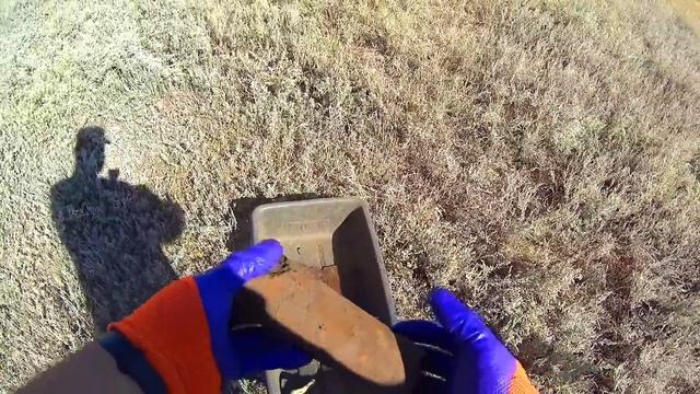 Металл ТУТ ВЕЗДЕ! Нашли МНОГО МЕТАЛЛА в далекой деревне. #коп #металлокоп2023 #заработок #xpdeus