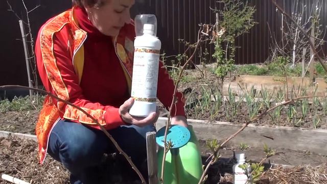 Экологическое земледелие