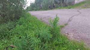 Воркута посёлок Советский 2021г