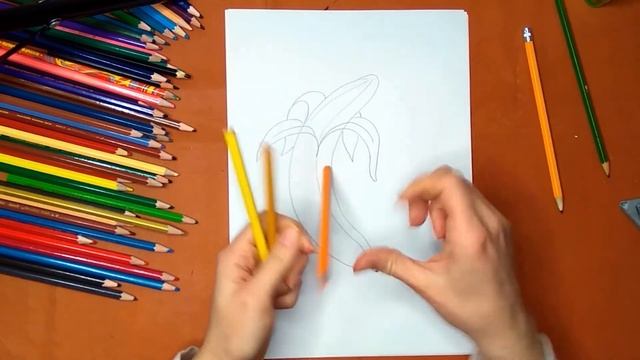 Как нарисовать банан. Онлайн-школа рисования "Малевашки"