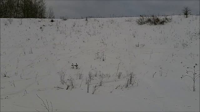 Ларвен маленький царь горы! смотреть онлайн