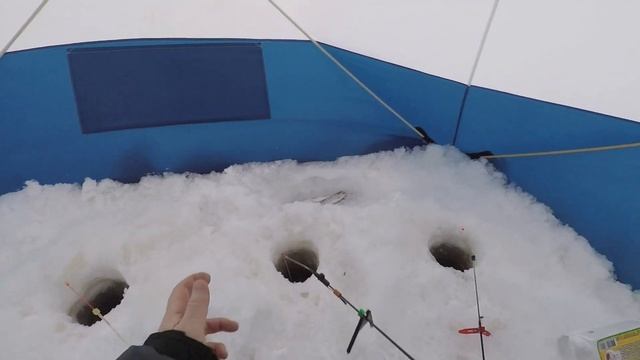 Белогорка, 15.01.2023. Пытаемся поймать сига. Короткая зимняя рыбалка. Северная Двина.