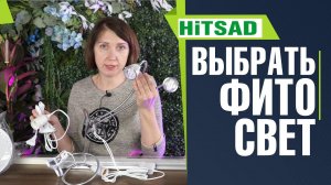 Как правильно выбирать фитолампу ✔️