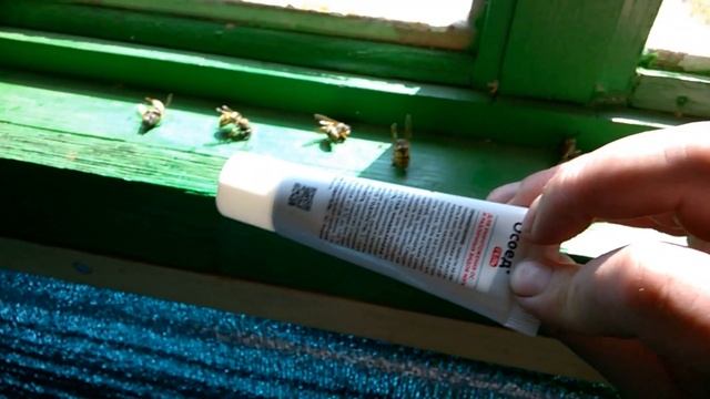 Осы ! чем я травил ОС! Wasps! смотреть онлайн