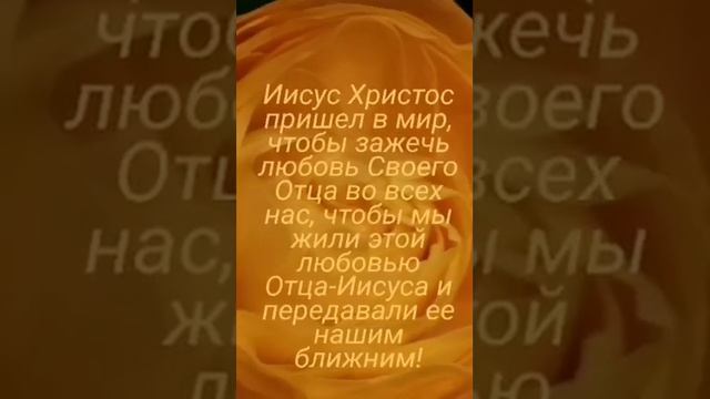 Иисус Христос пришел в мир, чтобы зажечь любовь Своего Отца во всех нас, чтобы мы жили этой любовью