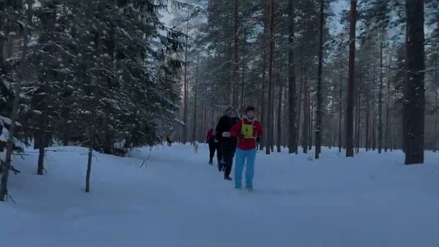Юбилейный 200-й Dикий трейл в Санкт-Петербурге смотреть онлайн