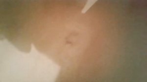 Как ухаживать за барсиком ( 1часть)