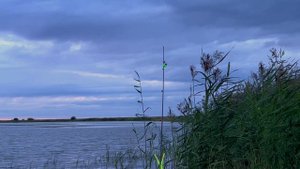 Ловля крупного карася, на закидушки рыбалка с ночевкой