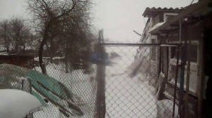 Ловушка на лису (живоловушка)