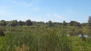 на велосипеде к озеру Тишь Шиловского района.wmv