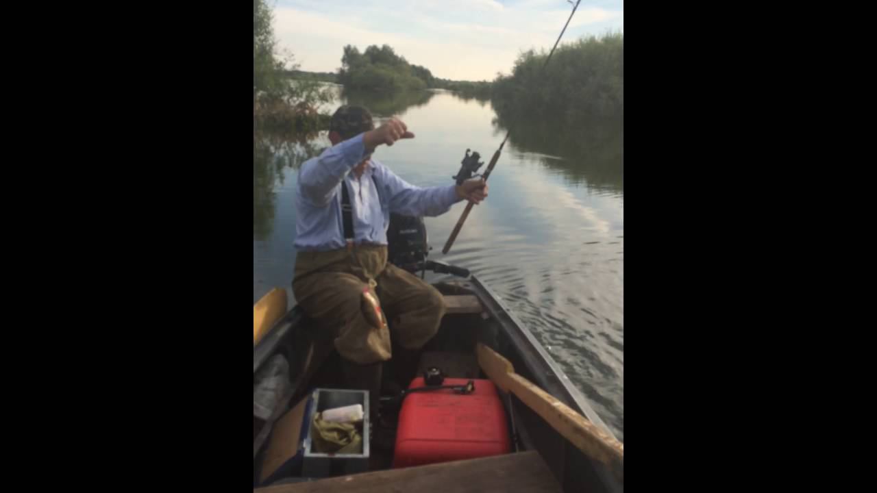 Ловим окуня на Иртыше Вагайский район смотреть онлайн