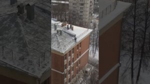Ноу криминалити