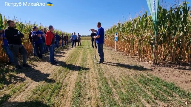 Кукурудза Dekalb (Монсанто)  Агросемінар BAYER.