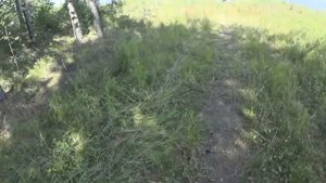 Поездка на рыбалку, дорога на Долгобродское водохранилище, изба в лесу.