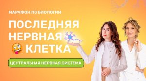 Урок 1. Марафон Последняя нервная клетка.